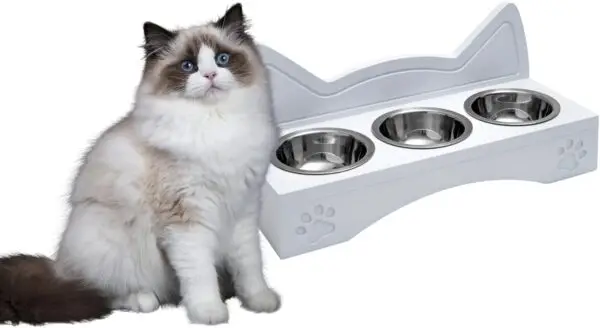 Comedero Gato Elevado - Imagen 4